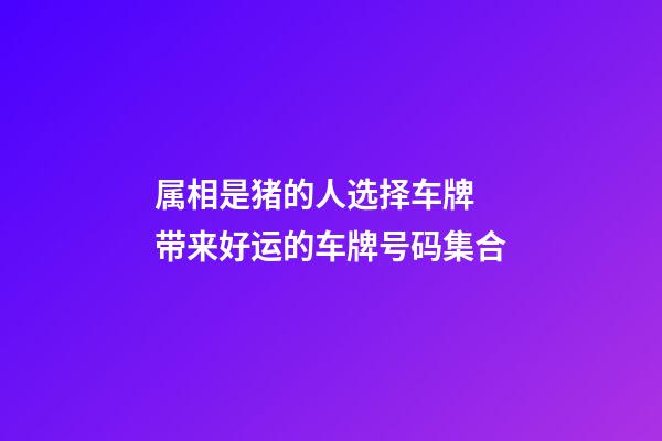 属相是猪的人选择车牌 带来好运的车牌号码集合